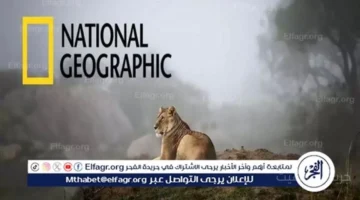 رسميًا تردد ناشيونال جيوغرافيك 2025 استقبله الآن بأعلى جودة HD 1